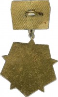 Нагрудный знак Ветеран 301-й ордена Суворова стрелковой дивизии 