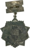Нагрудный знак Ветеран 252-30 стрелковой дивизии 
