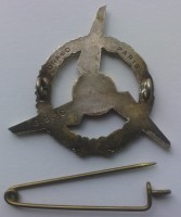 Badge Mechanician 