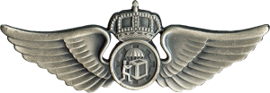 Badge Aircrew man badge 