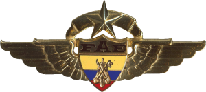 Badge Master of Air Force Finance Department 