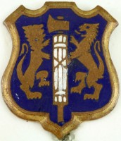 Нагрудный знак 108ый пехотный полк 
