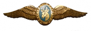 Badge Army Air Reconnaissance Pilot 
