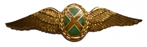 Badge South African Air Force Commando pilot wings 