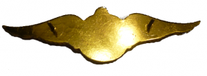 Нагрудный знак Медаль Одной Звезды 