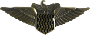 Badge Pilot bronze 