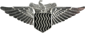 Badge Pilot silver 