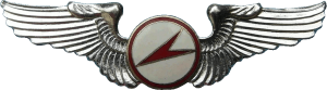 Badge Glider pilot 