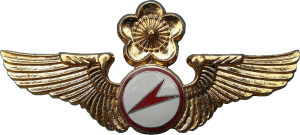 Badge Glider pilot 