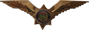 Badge Police pilot 