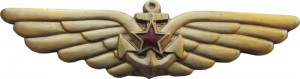 Badge Aircarrier crew member, gold 