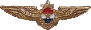 Badge Naval pilot 