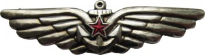Badge Aircarrier crew member, silver 