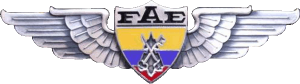 Badge Specialist of Air Force Finance Department (enlisted) 