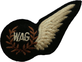 Badge Wireless air gunner 