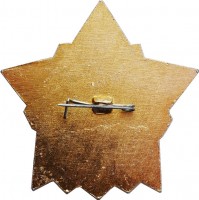 Нагрудный знак 40 лет 100 стрелковой дивизии, Вологда 1982 