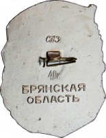 Нагрудный знак 6-ая Клетнянская партизанская бригада 
