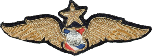 Badge Senior pilot 