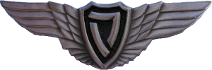 Badge Light aircraft pilot badge 