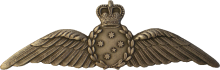 Знак Air Combat Officer