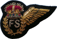 Знак Flight Steward Знак Flight Steward