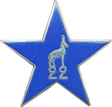Знак 22-ой Батальон альпийских охотников