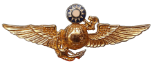 Знак Пилот морской пехоты 