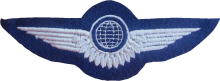 Знак Член экипажа воздушного судна