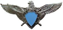 Знак Pilot without class
