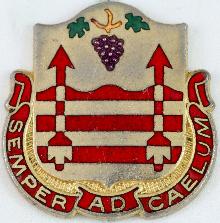 Знак 313th AAA Battalion