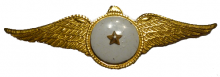 Знак One Star Medal