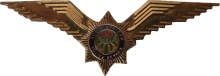 Знак Пилот полиции