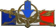 Знак Французский контингент в Северной Африке