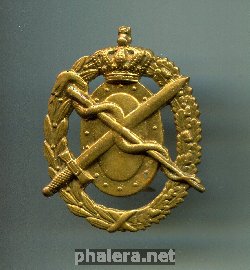 Нагрудный знак Медицинская служба 