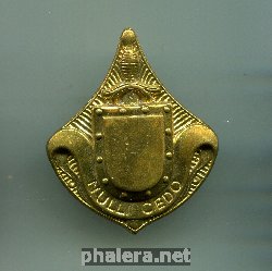 Нагрудный знак Пехота 