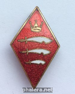 Нагрудный знак GIRL GUIDES ESSEX 