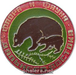 Нагрудный знак Флора и Фауна Дальнего Востока Медведь. 