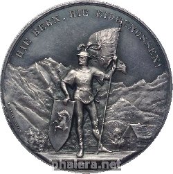 Знак Стрелковая медаль. Швейцария. Берн. 1888 г.