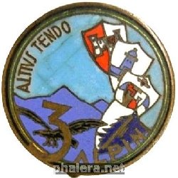 Нагрудный знак 3-ий альпийский полк 