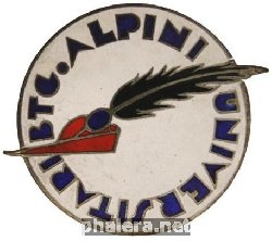 Знак Альпийский батальон университетский