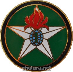 Знак 1-ый пехотный полк иностранного легиона