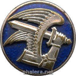 Нагрудный знак ПВО 