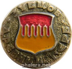 Нагрудный знак Зубцов 