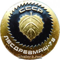 Нагрудный знак Лесдревмаш-79. СССР 