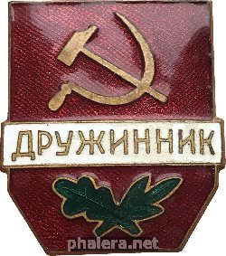Нагрудный знак Дружинник 
