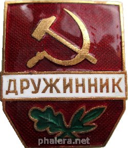Нагрудный знак Дружинник 