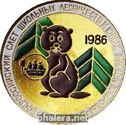 Нагрудный знак Всероссийский слет школьных лесничеств и юных друзей природы Ленинград 1986 