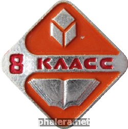 Нагрудный знак 8 класс 