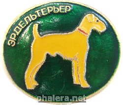 Badge  