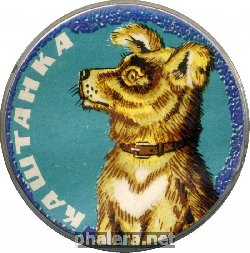 Нагрудный знак Каштанка 